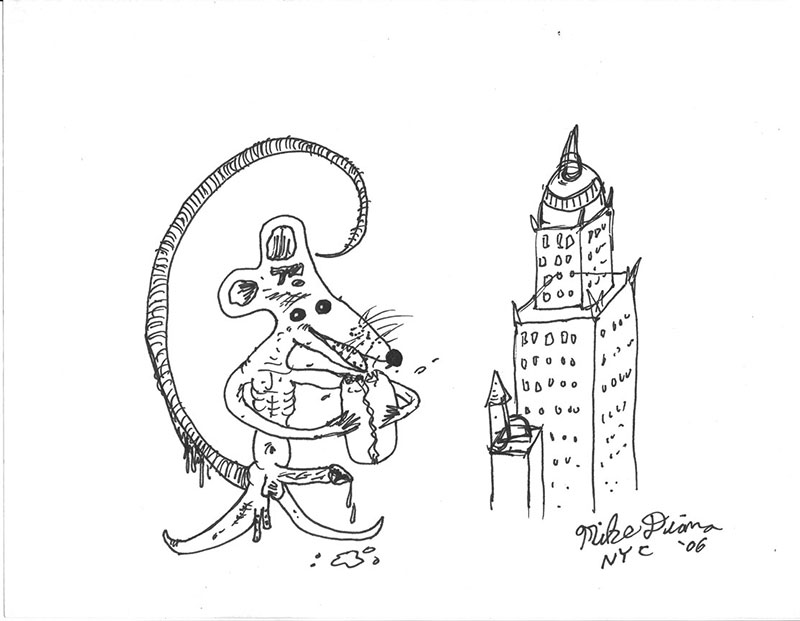 City Rat