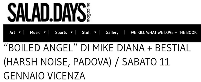 Mike Diana Italy Exhibition from Salad Days